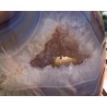 agate-amethysee-306-kg