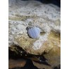 Calcédoine - Pendentif 1 Gr