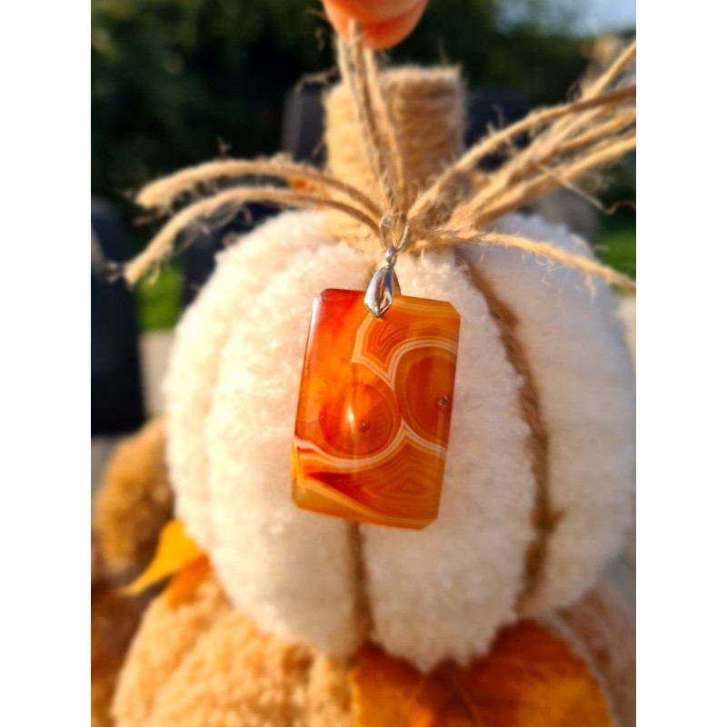 Cornaline - Pendentif 14 Gr