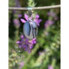 Agate - Pendentif  2 gr