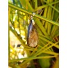 Bronzite - Pendentif  9 gr