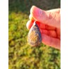 Bronzite - Pendentif  9 gr