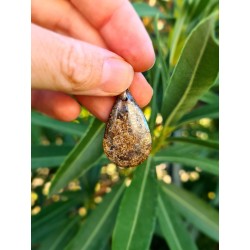 Bronzite - Pendentif  9 gr