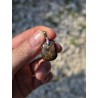Bronzite - Pendentif  5 gr