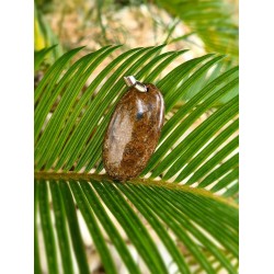 Bronzite - Pendentif 12 gr