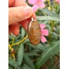 Bronzite - Pendentif 12 gr