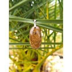Bronzite - Pendentif 12 gr