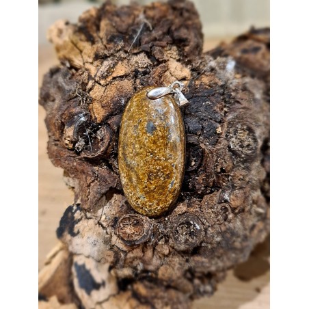 Bronzite - Pendentif 12 gr