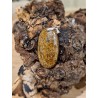 Bronzite - Pendentif 12 gr