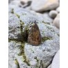 Bronzite - Pendentif 9 gr