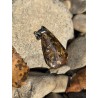 Bronzite - Pendentif 9 gr