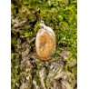 Bronzite - Pendentif 13 gr