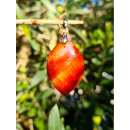 Cornaline - Pendentif 12 Gr