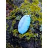 Larimar - Pendentif 10 gr