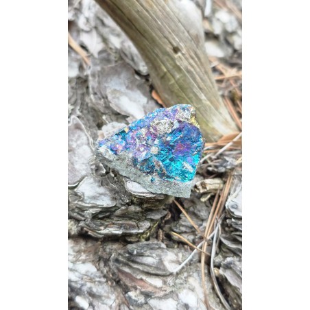 Chalcopyrite - Brute 44 Gr