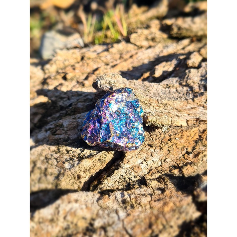 Chalcopyrite - Brute 40 Gr