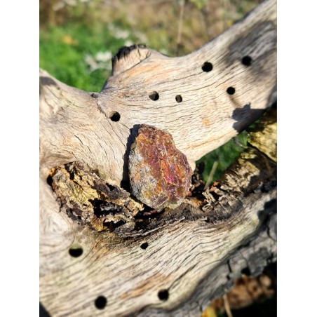 Chalcopyrite - Brute 25 Gr