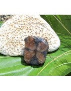 Chiastolite
