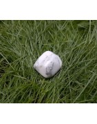Howlite