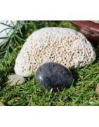 Inclusion tourmaline noire