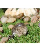 Lodolite