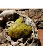 Opale verte