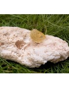 Citrine